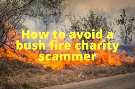 How to avoid a bush fire charity scammer